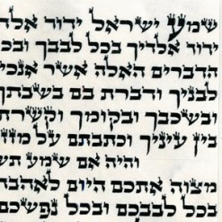 Alter Rebbe Mezuzah Klaf 2XL 8" (20cm)